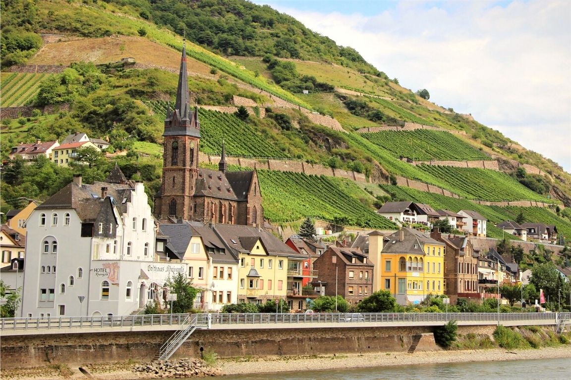 Photo for: Rhône Valley:  Two Distinct Regions in One